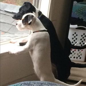 Meet your Posher, Reginald e.